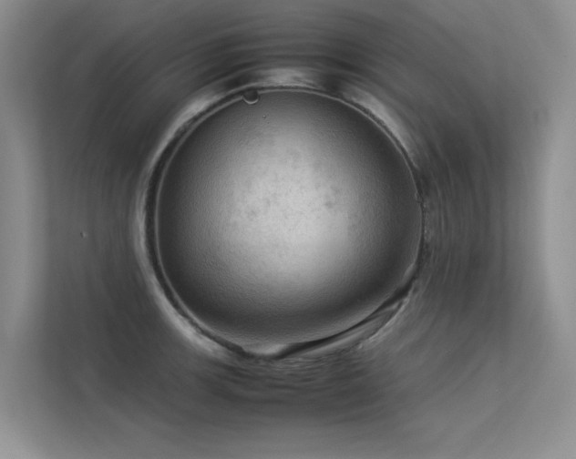 X0000113311139200909141306