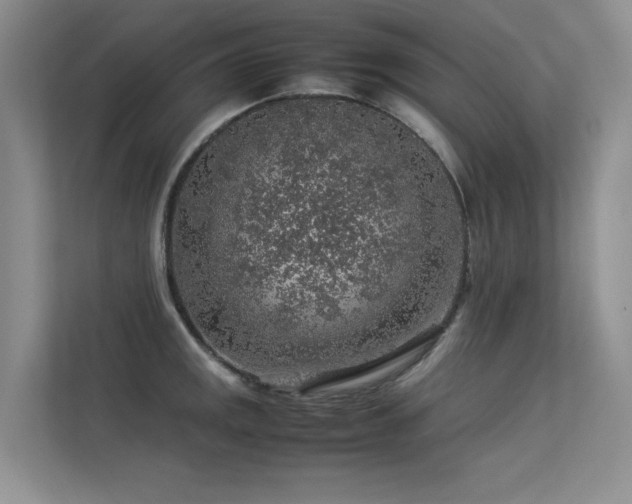 X0000113311141200909141306