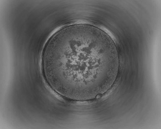 X0000113311142200909141306