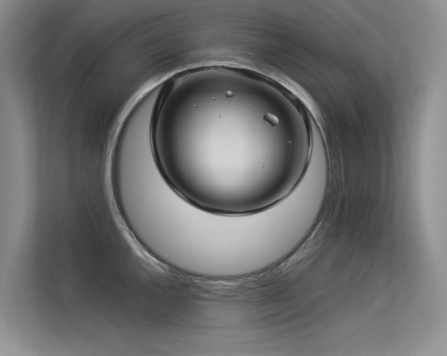 X0000113311144200909141306