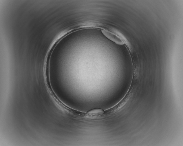 X0000113311146200909141306