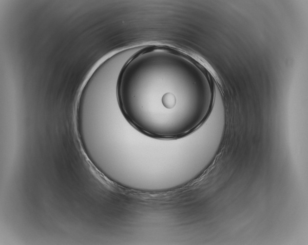 X0000113311148200909141307