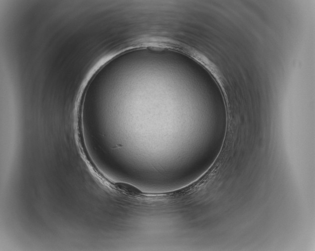 X0000113311152200909141307