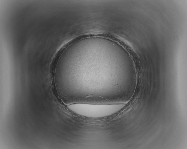 X0000113311160200909141306