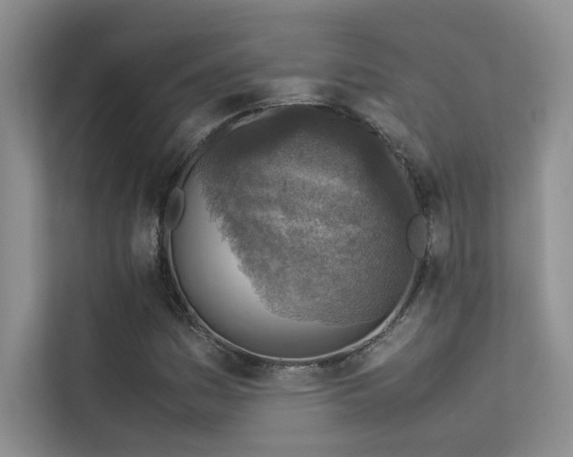 X0000113311161200909141306