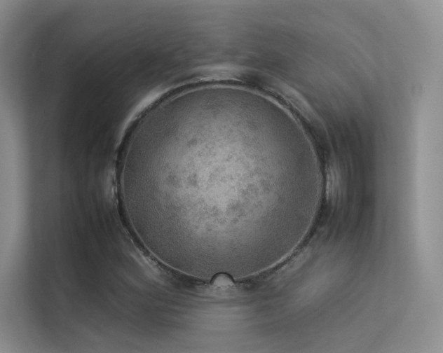 X0000113311164200909141306