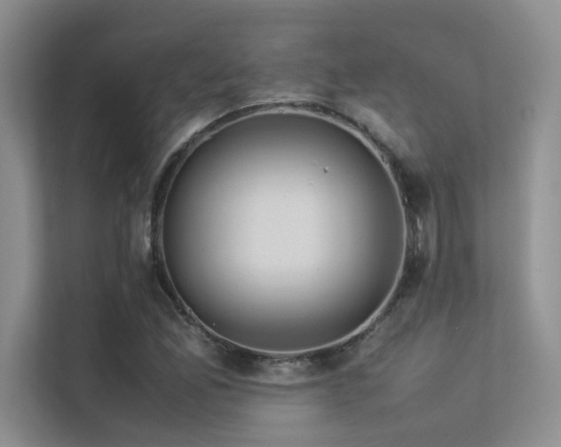 X0000113311165200909141306