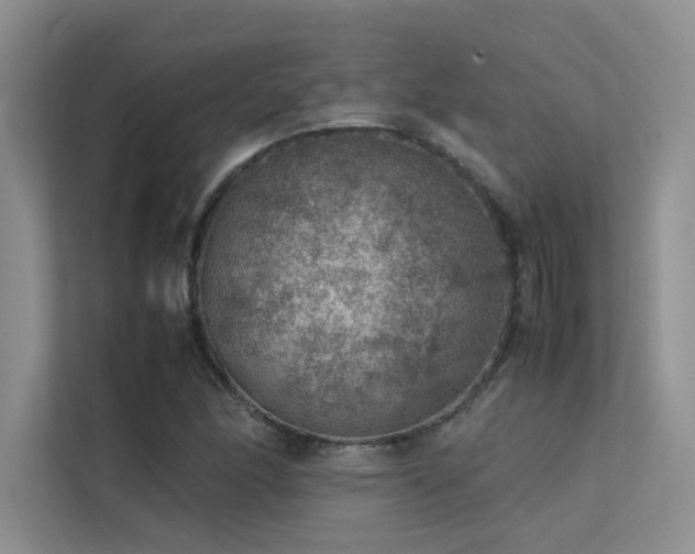 X0000113311166200909141306