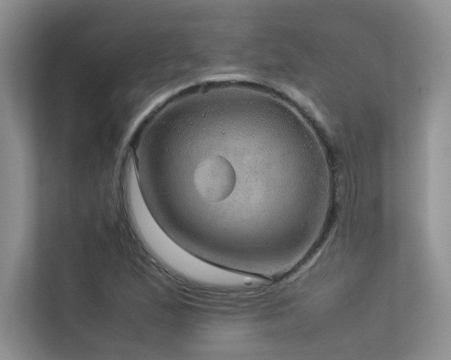 X0000113311167200909141306