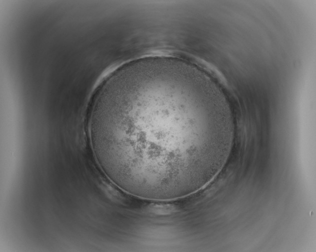 X0000113311168200909141306