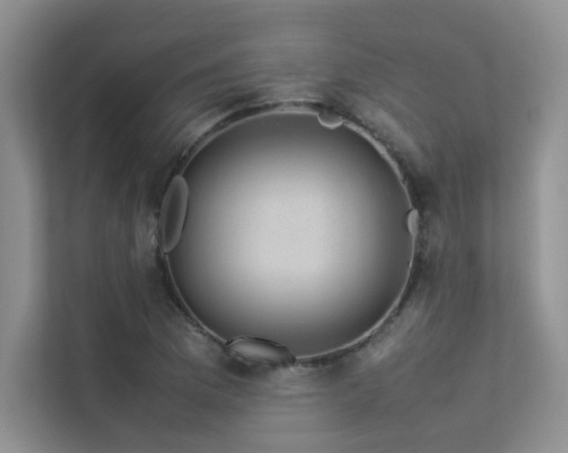 X0000113311169200909141306