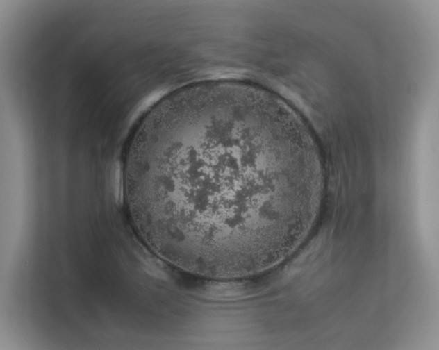 X0000113311171200909141306