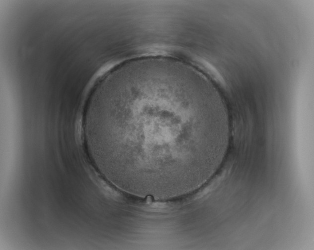 X0000113311172200909141306