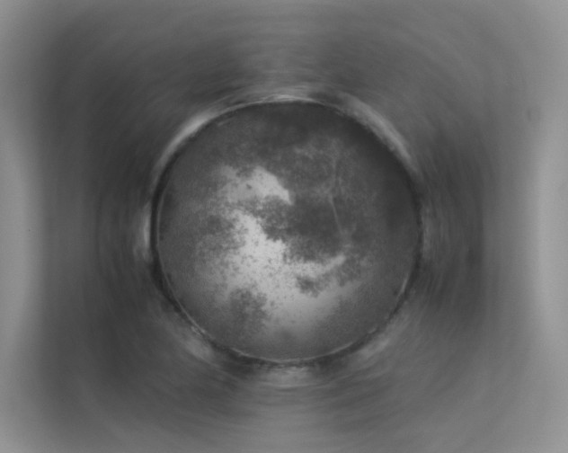 X0000113311174200909141306