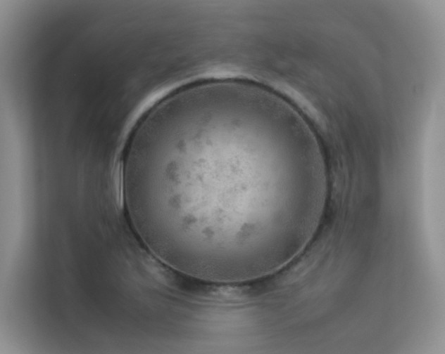 X0000113311175200909141306