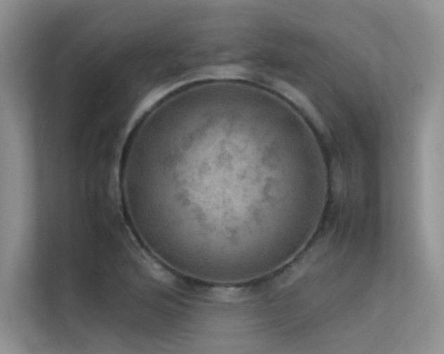 X0000113311176200909141306