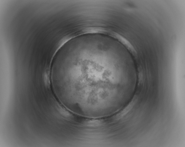 X0000113311178200909141306