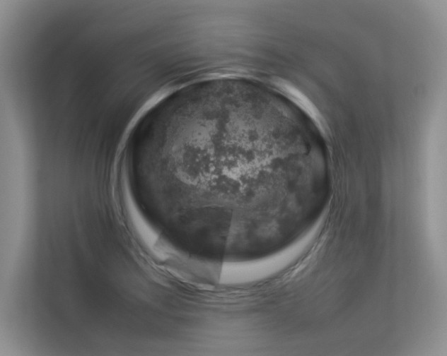 X0000113311179200909141306