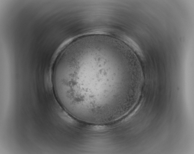 X0000113311180200909141306