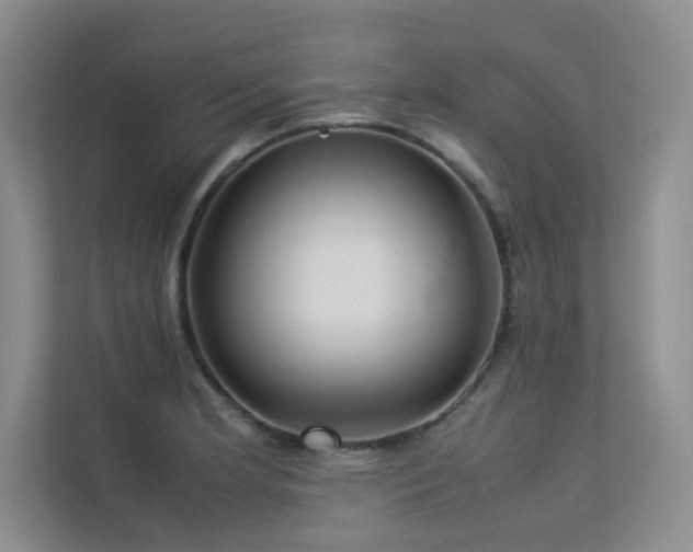 X0000113311181200909141306