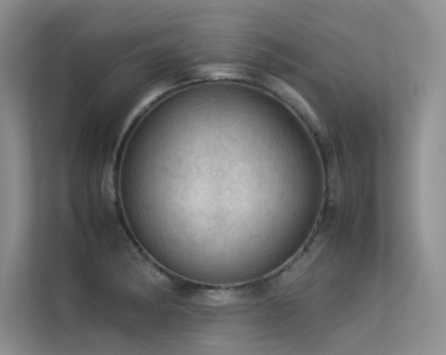 X0000113311182200909141306