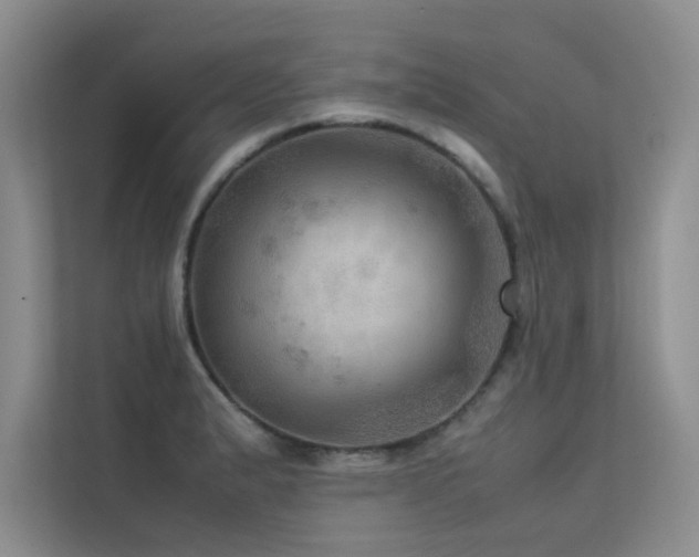 X0000113311183200909141306