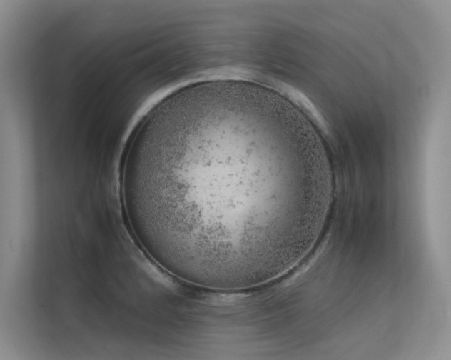 X0000113311184200909141306