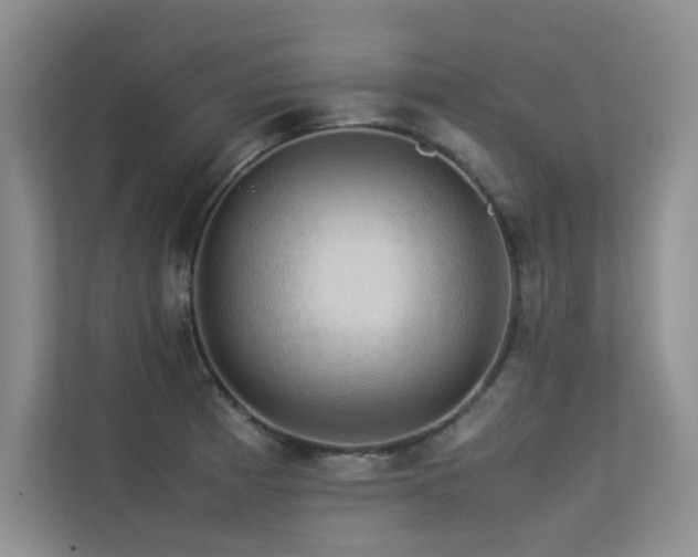 X0000113311185200909141306