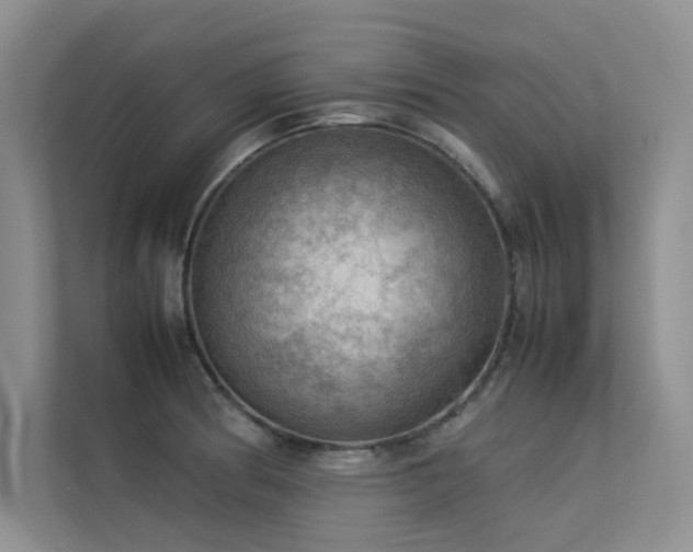 X0000113311186200909141306