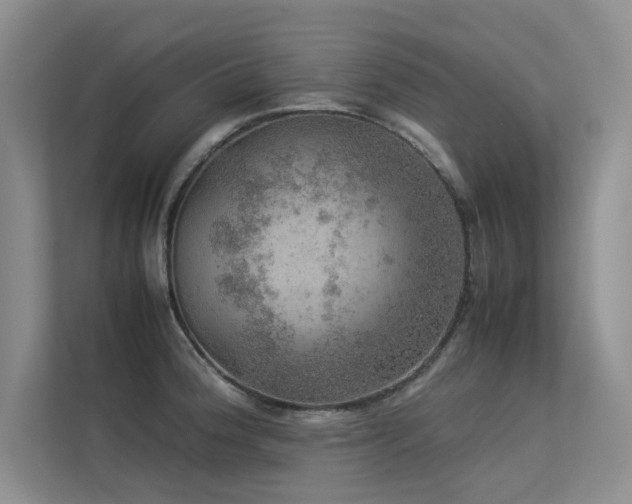 X0000113311188200909141305