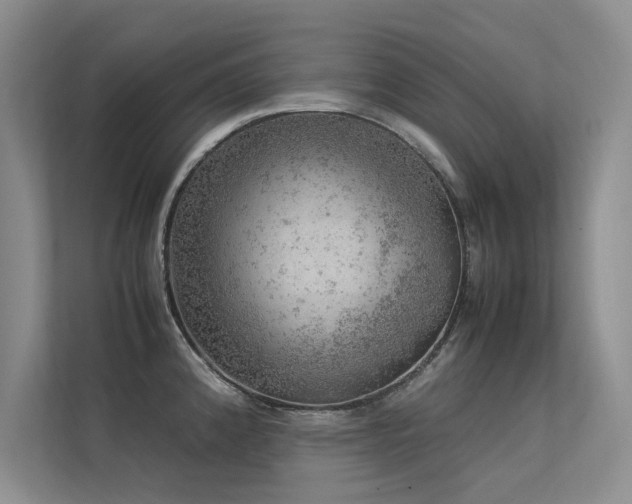 X0000113311192200909141305