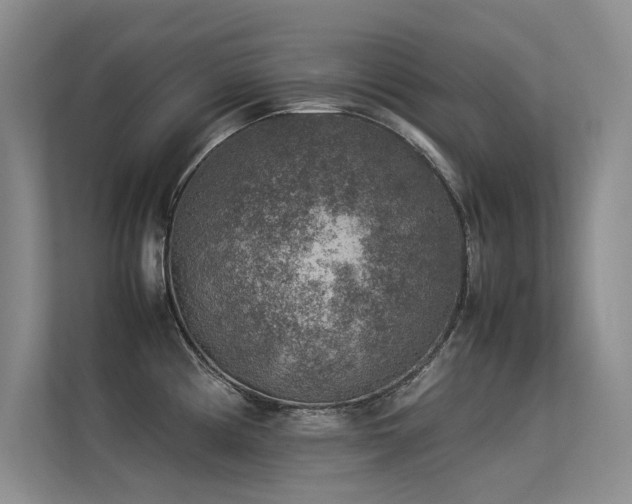 X0000113311194200909141305