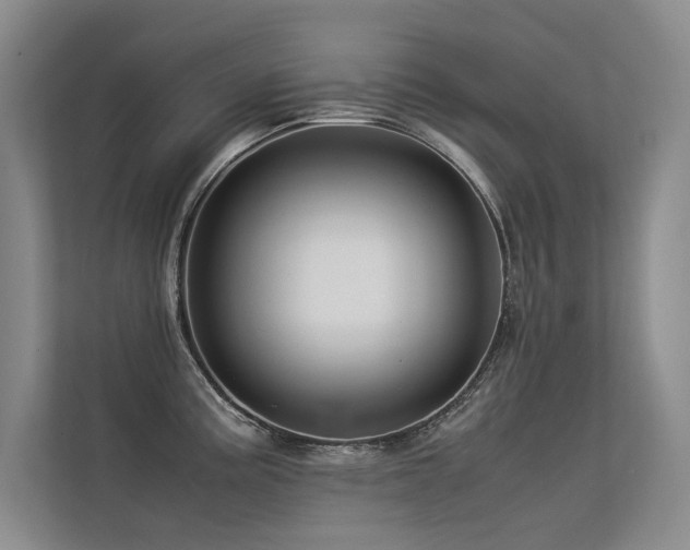 X0000113311195200909141305