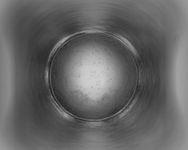 X0000113311196200909141305