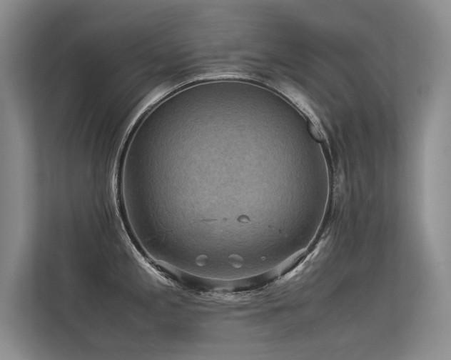 X0000113311197200909141305