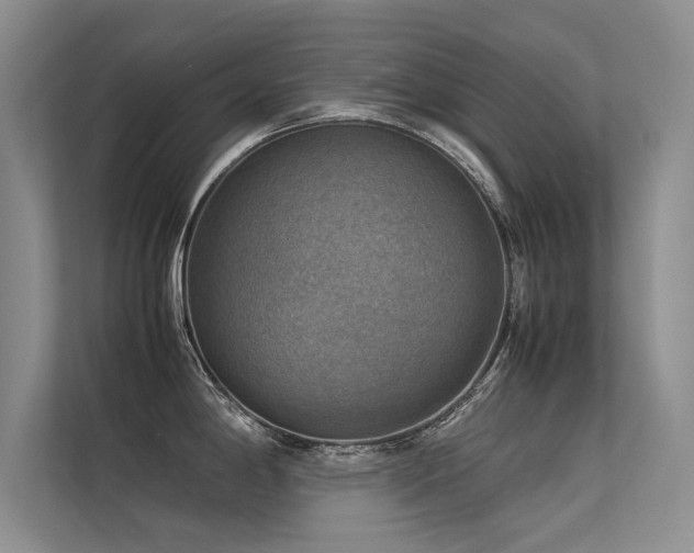 X0000113311198200909141305