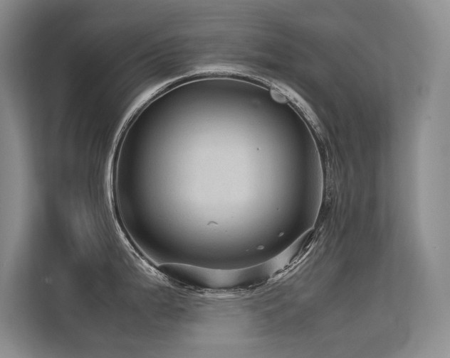 X0000113311199200909141305