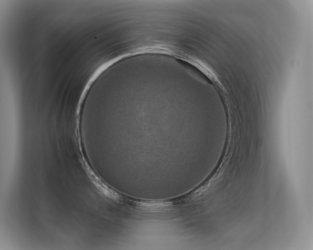 X0000113311200200909141305