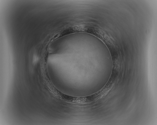 X0000113311201200909141305