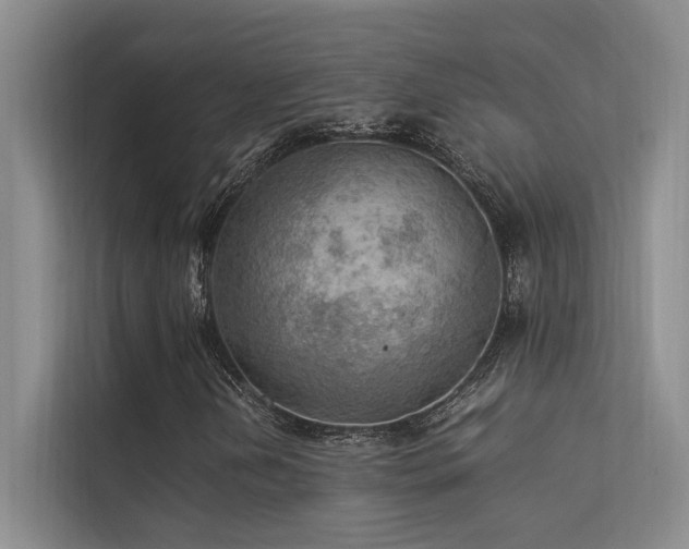 X0000113311202200909141305