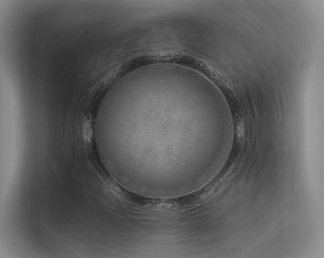 X0000113311204200909141305