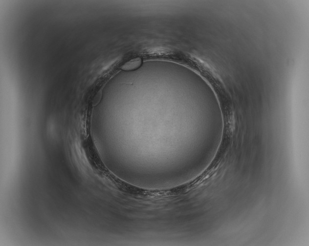 X0000113311205200909141305