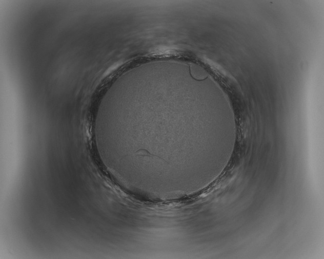 X0000113311206200909141305