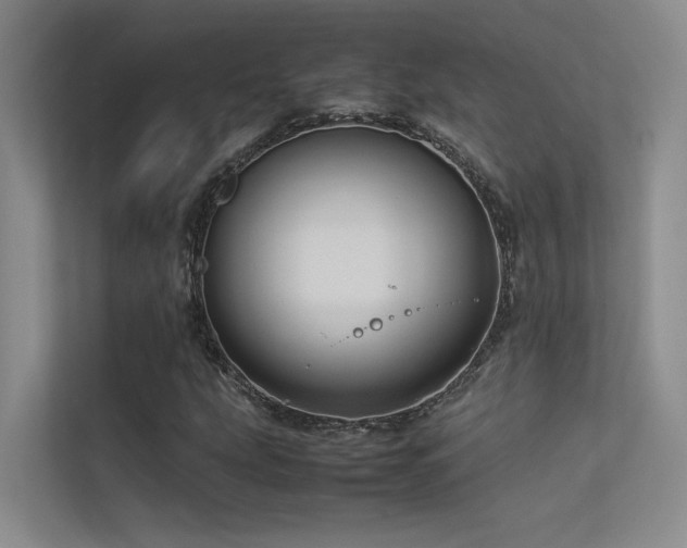 X0000113311207200909141305