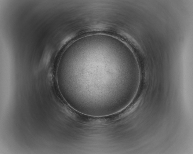 X0000113311210200909141305