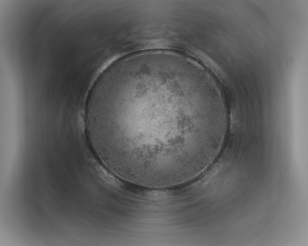 X0000113311212200909141305