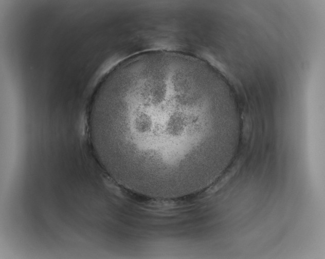 X0000113311215200909141305