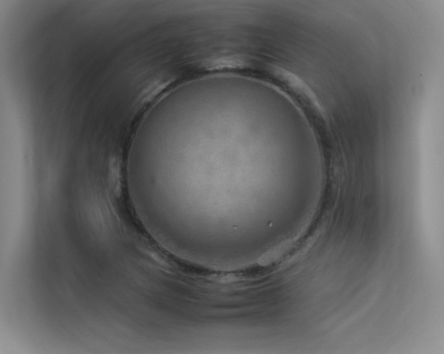 X0000113311217200909141305