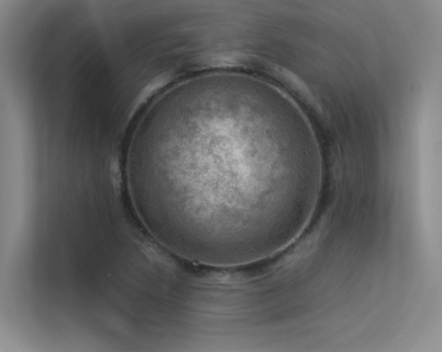 X0000113311218200909141305