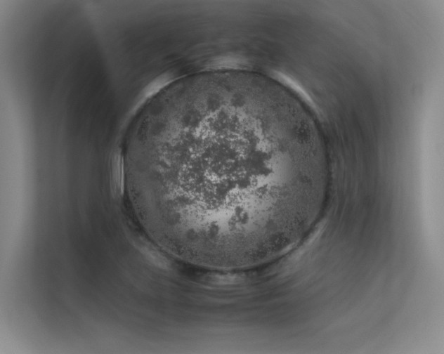 X0000113311219200909141305